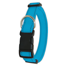 Large - XL Nylon, Neon Dog Collar 